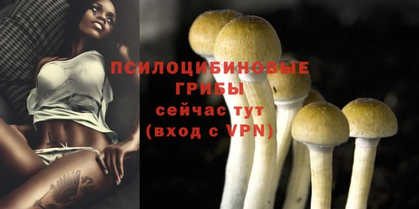 тгк Алексеевка