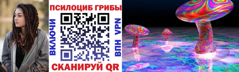наркошоп  Киржач  Галлюциногенные грибы прущие грибы 