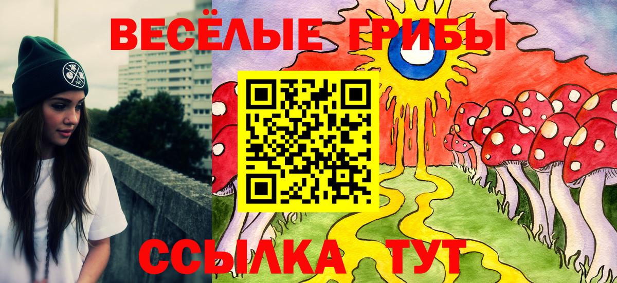 Галлюциногенные грибы GOLDEN TEACHER Киржач